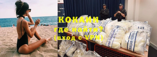 крисы Алзамай