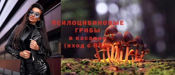 крисы Алзамай
