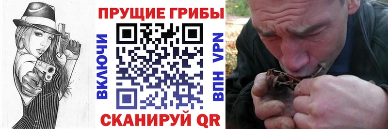 MEGA ССЫЛКА  Анадырь  Галлюциногенные грибы GOLDEN TEACHER 